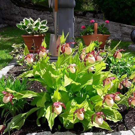 Affittacamere Grubstuben Schonach im Schwarzwald